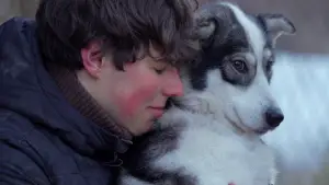 Backdrop to the movie "Folktales" #536113