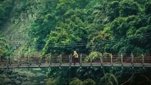 Backdrop to the movie "Redress" #533241