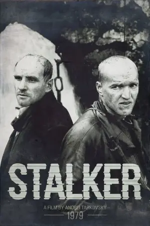 Poster to the movie "Stalker" #734154