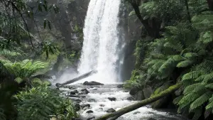 Backdrop to the movie "Force of Nature: The Dry 2" #430503