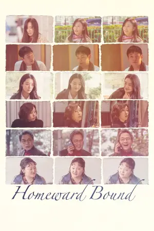 Poster to the movie "Homeward Bound" #638206