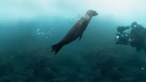 Backdrop to the movie "Guardians of the Galapagos" #720075