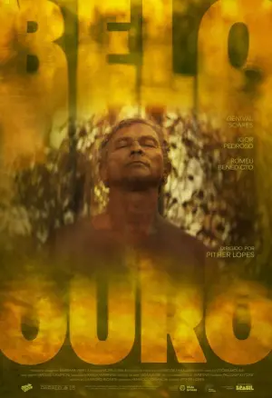 Poster to the movie "Belo Ouro" #537994