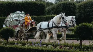 Backdrop to the movie "The Frog Princess 2" #796901