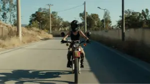 Backdrop to the movie "Gorgonà" #796872