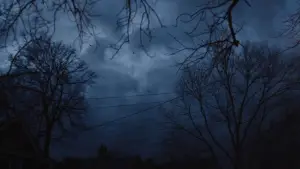 Backdrop to the movie "Adult World" #698492