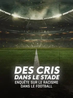 Poster to the movie "Des cris dans le stade, enquête sur le racisme dans le football" #493368