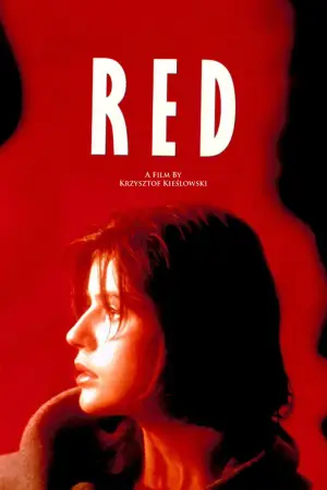 Poster to the movie "Three Colors: Red" #752149