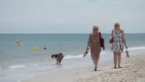 Backdrop to the movie "On dansera quand même" #803388