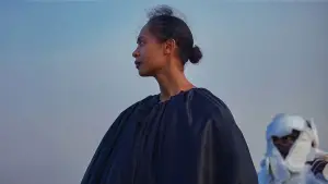 Backdrop to the movie "On Becoming a Guinea Fowl" #637226