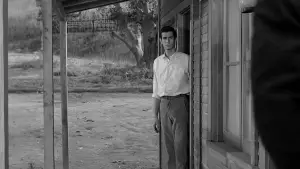 Backdrop to the movie "Psycho" #798826