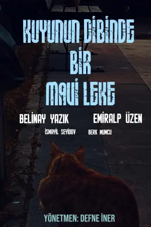 Poster to the movie "Kuyunun Dibinde Bir Mavi Leke" #845734