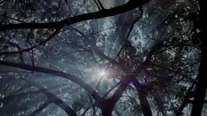 Backdrop to the movie "The Thin Red Line" #650158