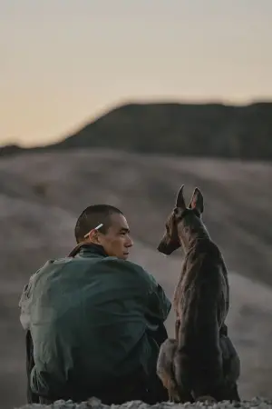 Poster to the movie "Black Dog" #600754