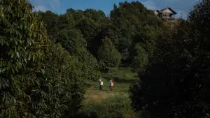 Backdrop to the movie "The Paradise of Thorns" #700396