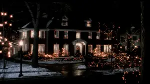 Backdrop to the movie "Home Alone 2: Lost in New York" #567196