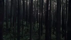 Backdrop to the movie "Keeper" #514443