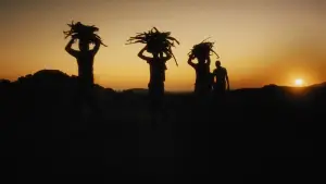 Backdrop to the movie "Variations on a Theme" #546403