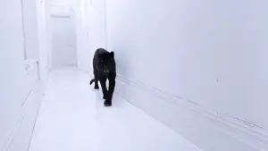 Backdrop to the movie "Xtro" #392478