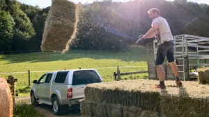 Backdrop to the movie "When I went to visit the boys" #504389