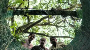 Backdrop to the movie "Sugar Mill" #694590