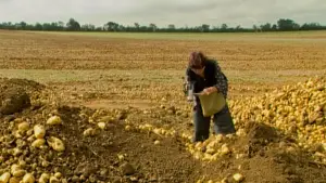 Backdrop to the movie "The Gleaners and I" #769770