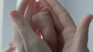 Backdrop to the movie "The Tree of Life" #266183