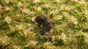 Backdrop to the movie "Resurrection" #761719