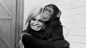 Backdrop to the movie "Bardot" #720663