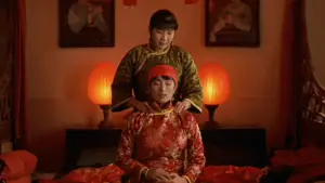 Backdrop to the movie "Raise the Red Lantern" #752280