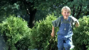 Backdrop to the movie "Dennis the Menace" #805077