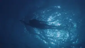 Backdrop to the movie "Jaws" #521041