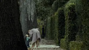 Backdrop to the movie "The Curious Case of Benjamin Button" #603305