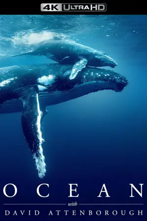 Poster to the movie "Ocean with David Attenborough" #617863