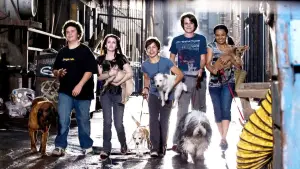 Hotel for Dogs