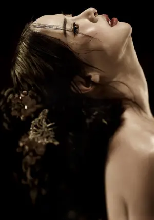 Poster to the movie "The Concubine" #745576