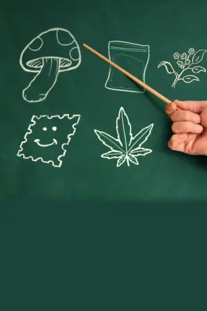 Have a Good Trip: Adventures in Psychedelics