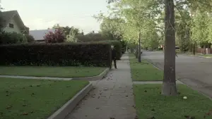 Backdrop to the movie "Halloween" #610880