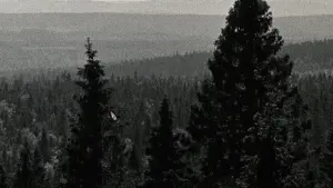 Backdrop to the movie "The Fleeting Horizon" #352779