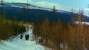 Backdrop to the movie "The Hexer" #494901