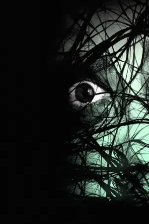 The Grudge 2