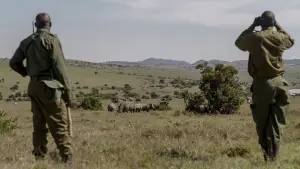 Backdrop to the movie "Rhino" #923519