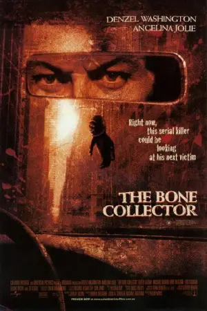 Poster to the movie "The Bone Collector" #745083