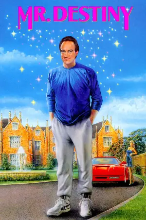 Poster to the movie "Mr. Destiny" #719449