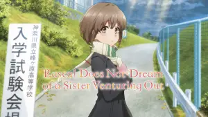 Backdrop to the movie "Rascal Does Not Dream of a Sister Venturing Out" #888826