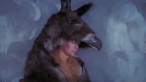 Backdrop to the movie "Donkey Skin" #812075