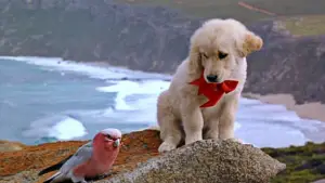 Backdrop to the movie "Napoleon" #646957