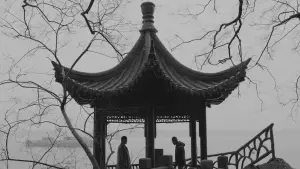 Backdrop to the movie "Panda" #539001