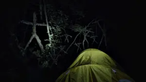 Backdrop to the movie "The Blair Witch Project" #372456