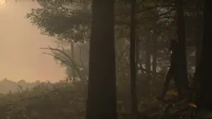 Backdrop to the movie "The Hunger Games: Mockingjay - Part 2" #785575